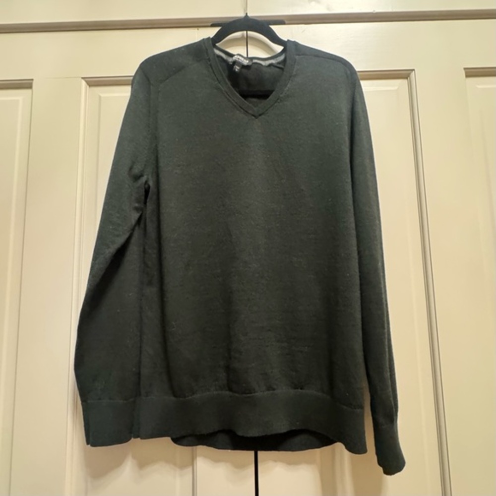 Express Merino Wool Blend V-Neck Sweater (Men's L) Academia Ski